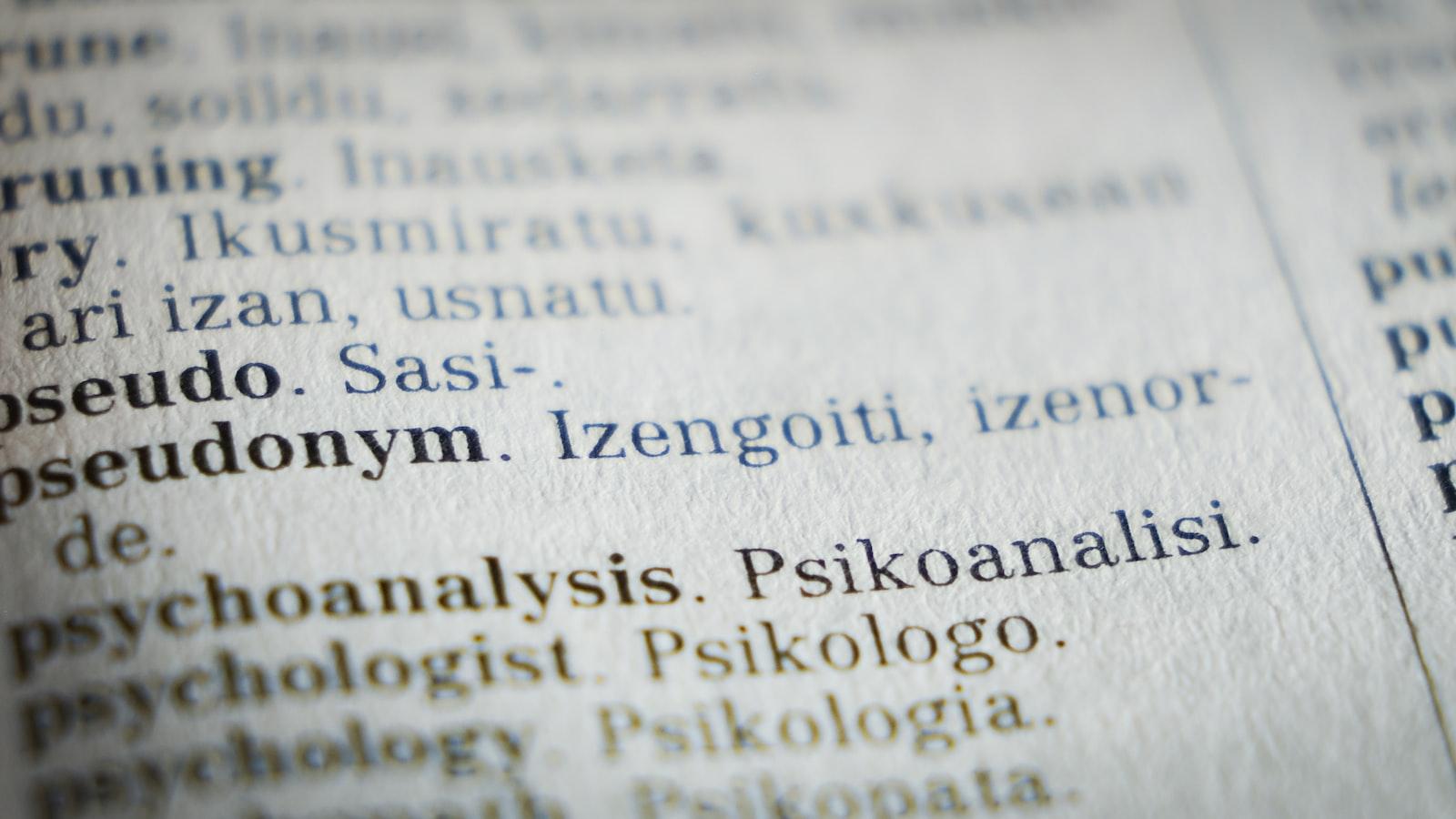 Unveiling the Linguistic Kaleidoscope: Exploring the Enigmatic Essence​ of [Topic]