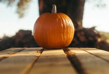 Master the Art of Autumn and Winter Styling: Expert Tips on Matching Clothing and Accessories