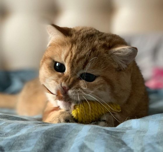 Unlocking the Power of Affirmations: Harnessing Positive Language for Personal Growth