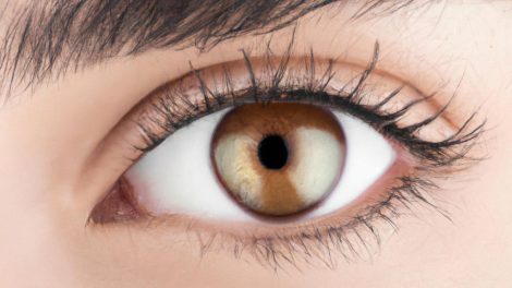 Illuminate Your Gaze: The Best Cosmetics for Brighter, More Radiant Eyes