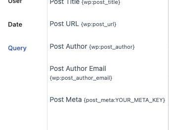 Unveiling the Untold Tales: The Hidden Histories Behind Iconic Fashion Brands