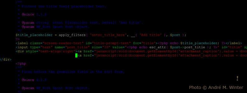 Discover 2023’s Hottest Makeup Colors: Beauty Bloggers Showcase the Trends