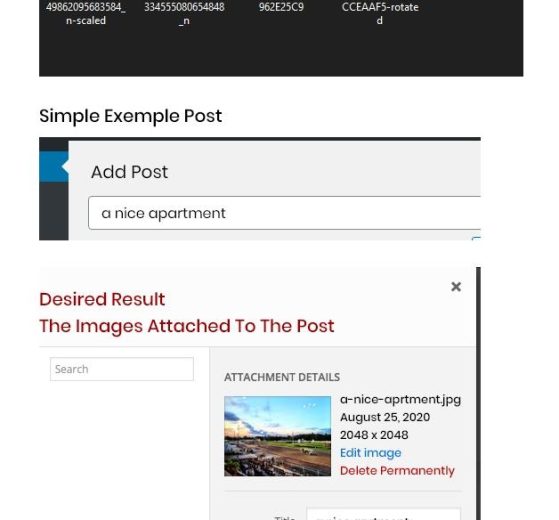 Unlock Your Style: Essential Fashion Staples Every Wardrobe Should Have!